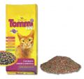 Tommi Cat