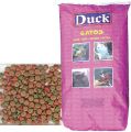 Duck Cat Mix