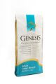 Genesis Adult Cat