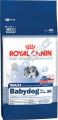 Royal Canin Maxi Babydog